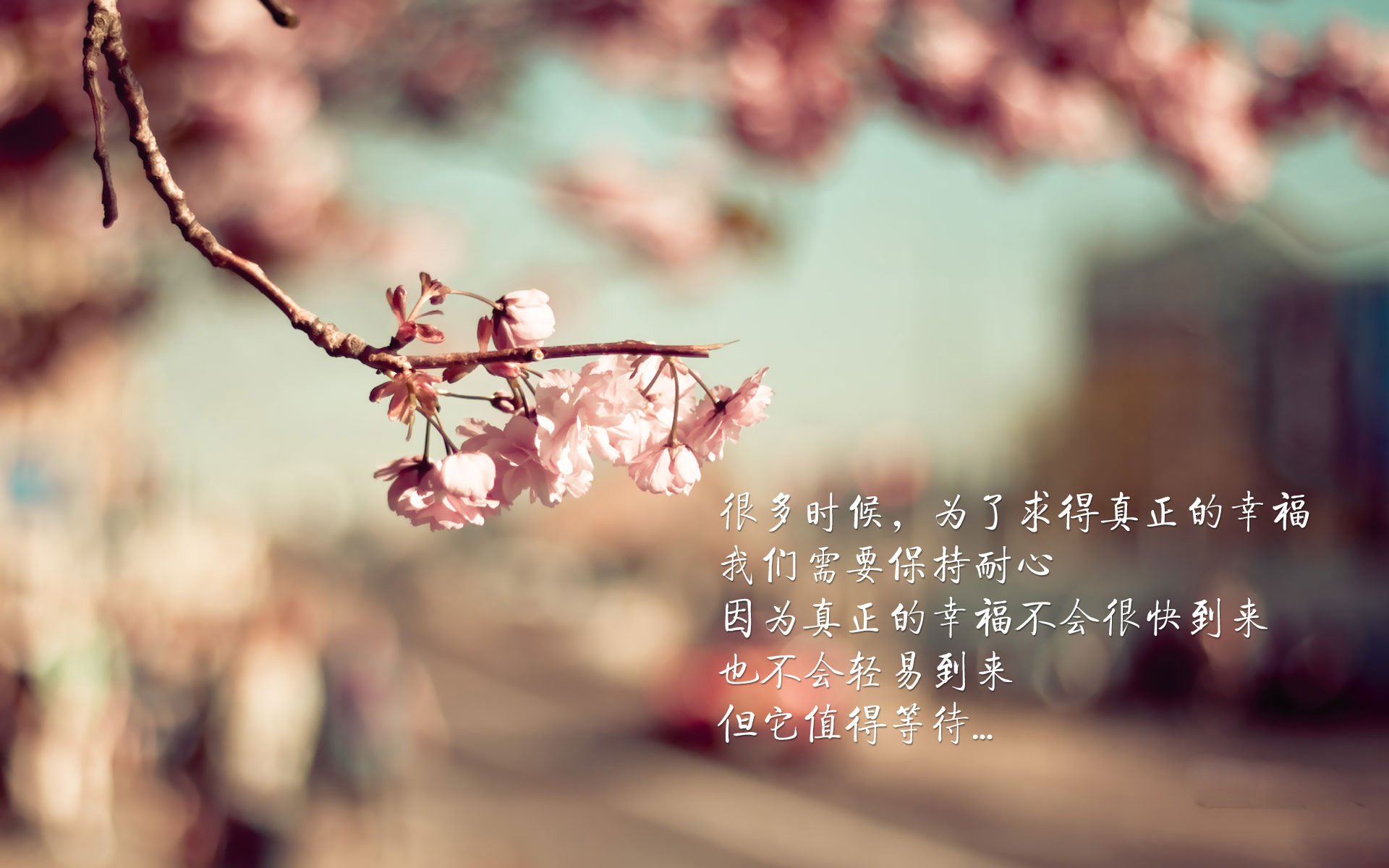 爱游戏在线登录入口-WRC赛道环境：如何适应不同地形？，wrc的赛道