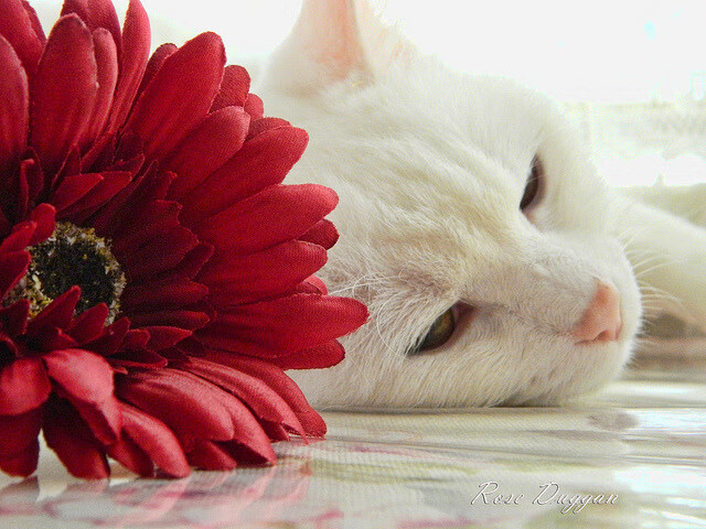 _未来体育智能场馆：科技赋能全民健身_，未来体育馆概念设计