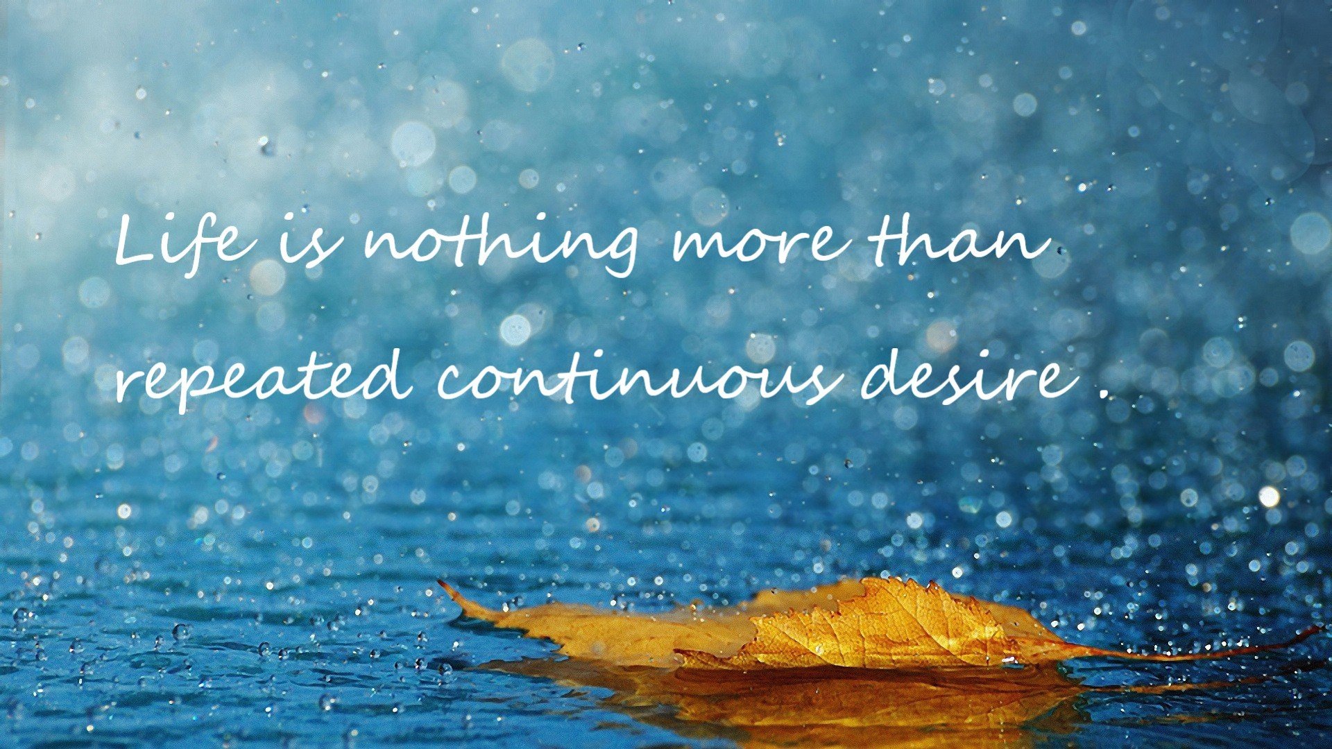 _网球比赛中的戏剧性瞬间：逆袭、爆冷、奇迹_，网球表演赛