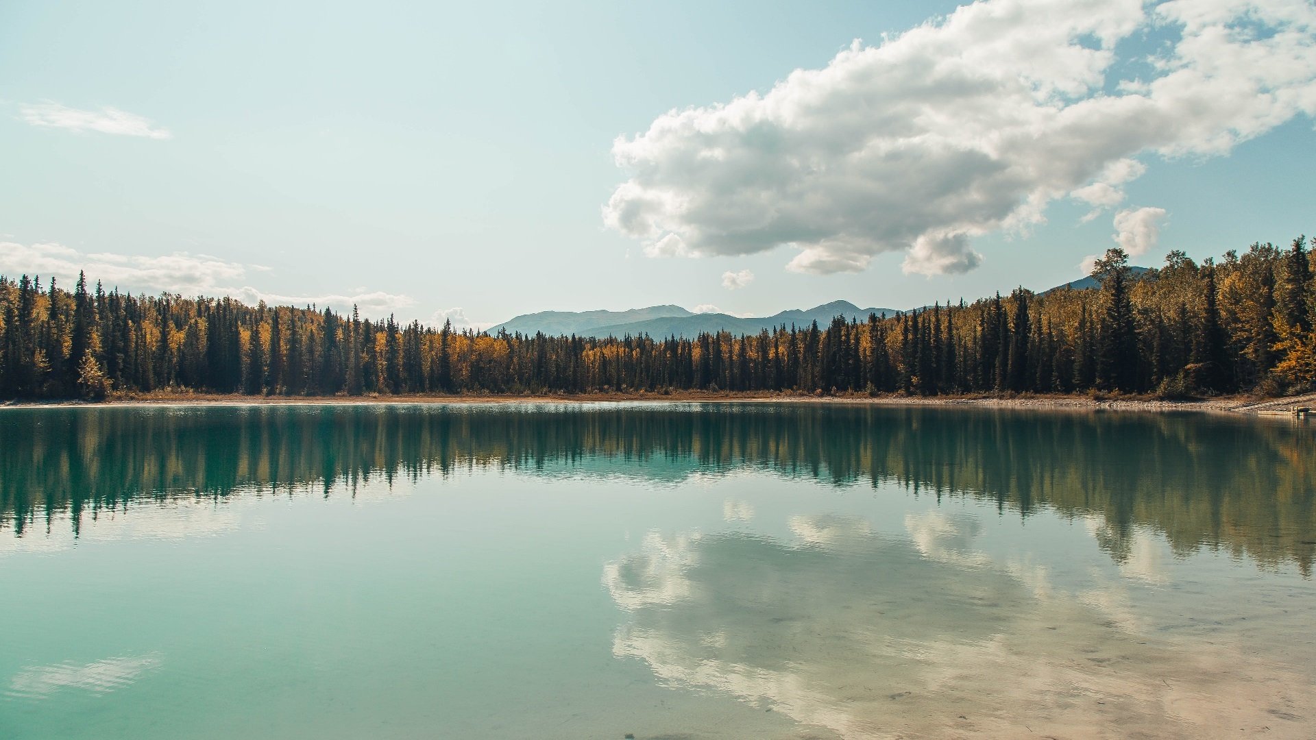 传统皮划艇比赛，水上竞速的经典魅力，皮划艇比赛项目有哪些