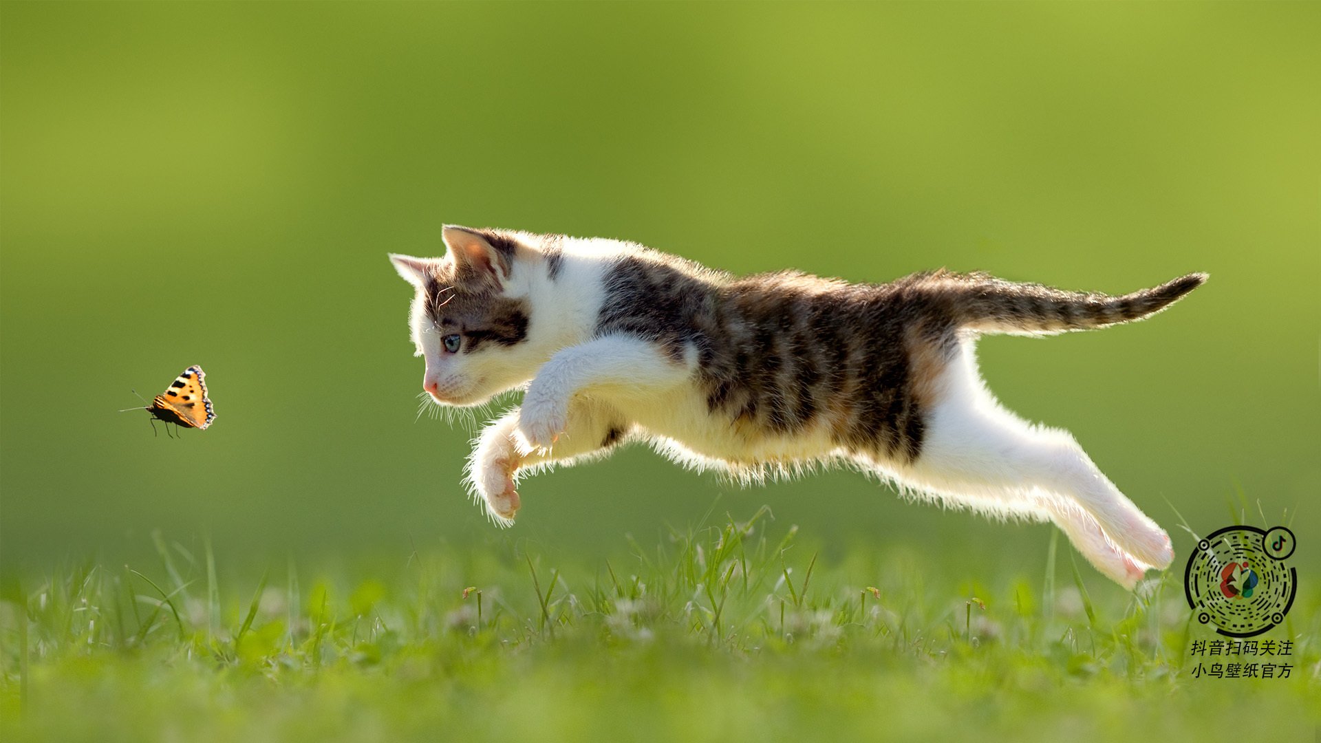 爱游戏体育官方网站-《赛事平台：技术创新推动线上赛事更精彩》，在线赛事服务平台