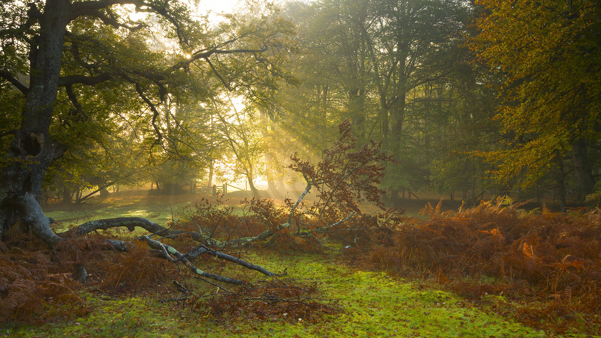 中国足球海外比赛交流活动频繁增多，中国足球国外