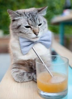 AYX体育-中国队在巴黎奥运会比赛中多次通过快速反击得分，巴黎奥运会 中国