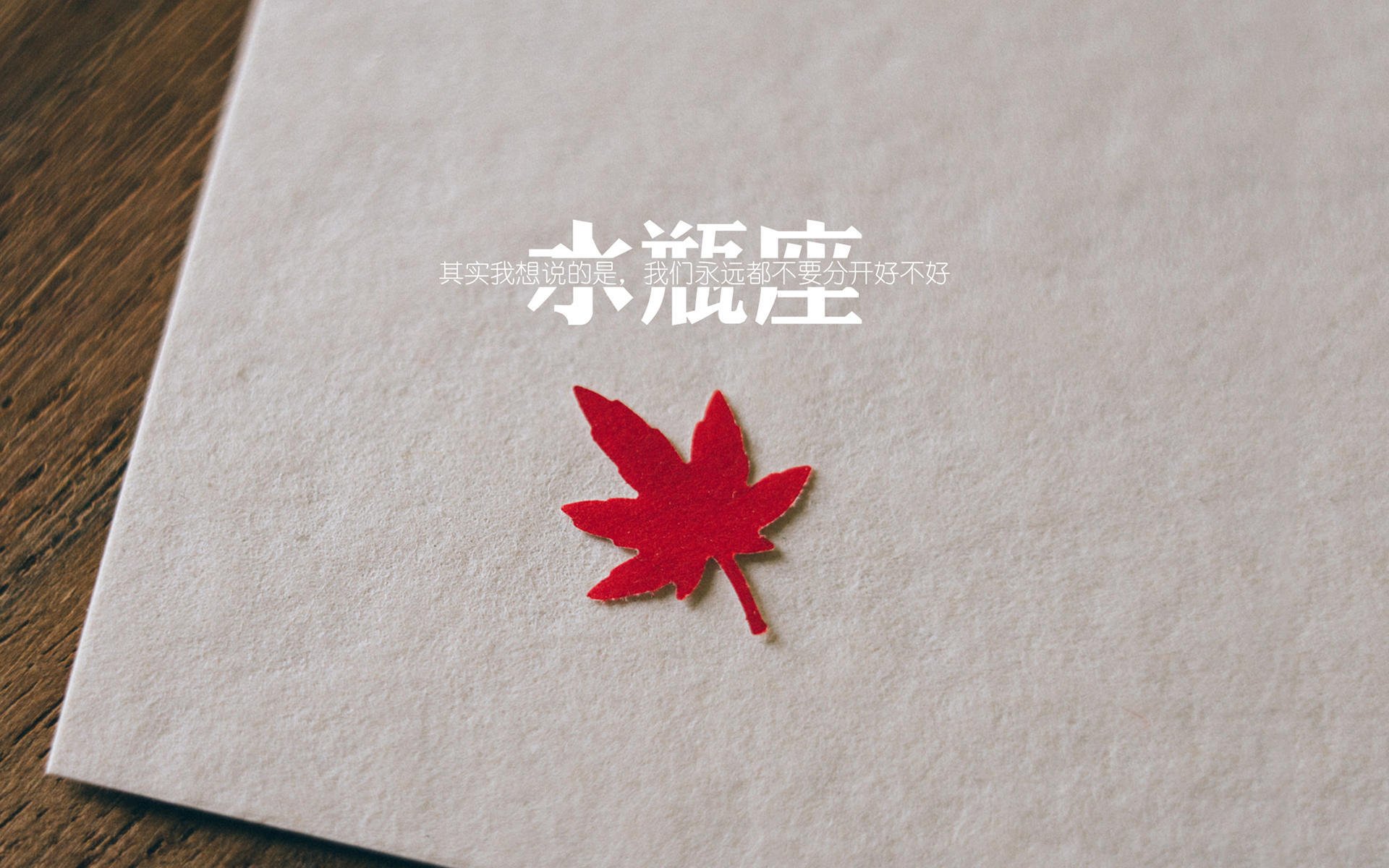 你了解的足球礼仪有哪些?国际礼仪大解析,足球礼仪顺序