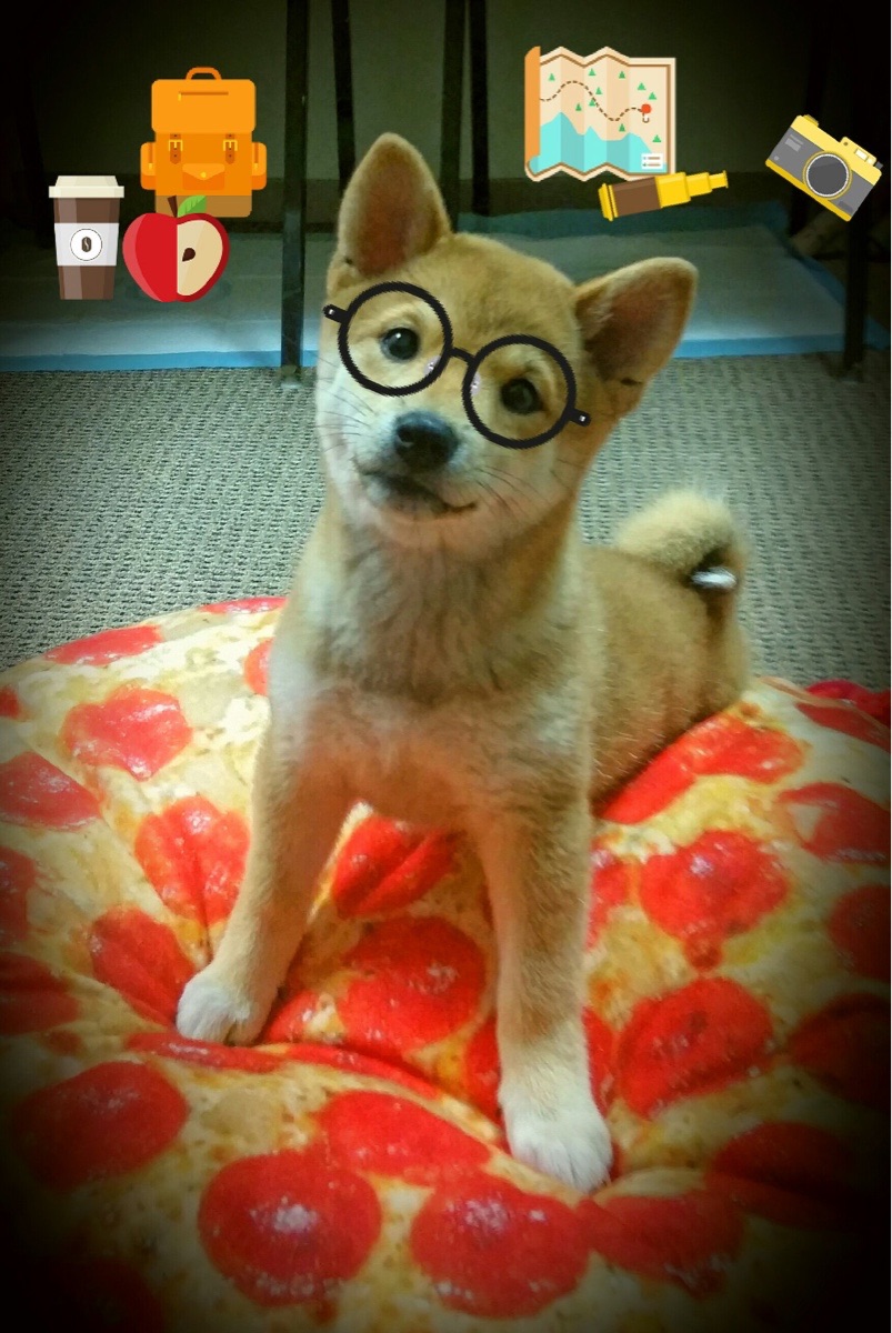 爱游戏体育APP下载-法甲新成立青训联盟，打造足球青训“生态圈”，法国队青训