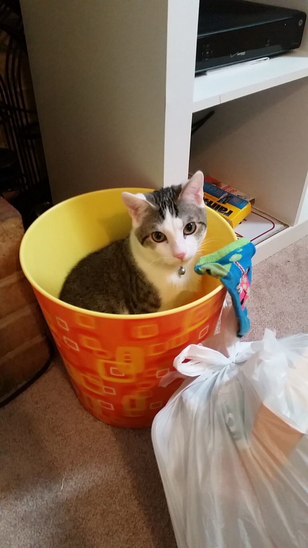 AYX GAME-篮网在主场迎战火箭，杜兰特连续多次精彩得分，最终震撼全场获胜！