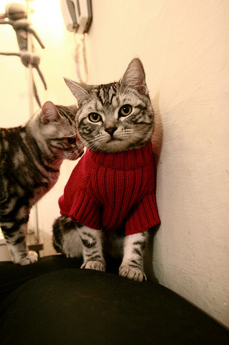 爱游戏app-青训体系的崛起：联盟未来的“摇篮”在哪里？，lol青训啥意思