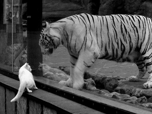 KPL选手心理素质培训加强,职业选手心理素质