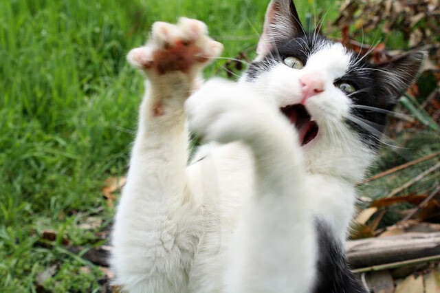 西甲联赛“裁判纪律”标准更加严格，保障公平，西甲裁判工资