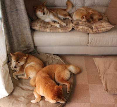 赛季最佳五人阵容预测，2020赛季最佳11人