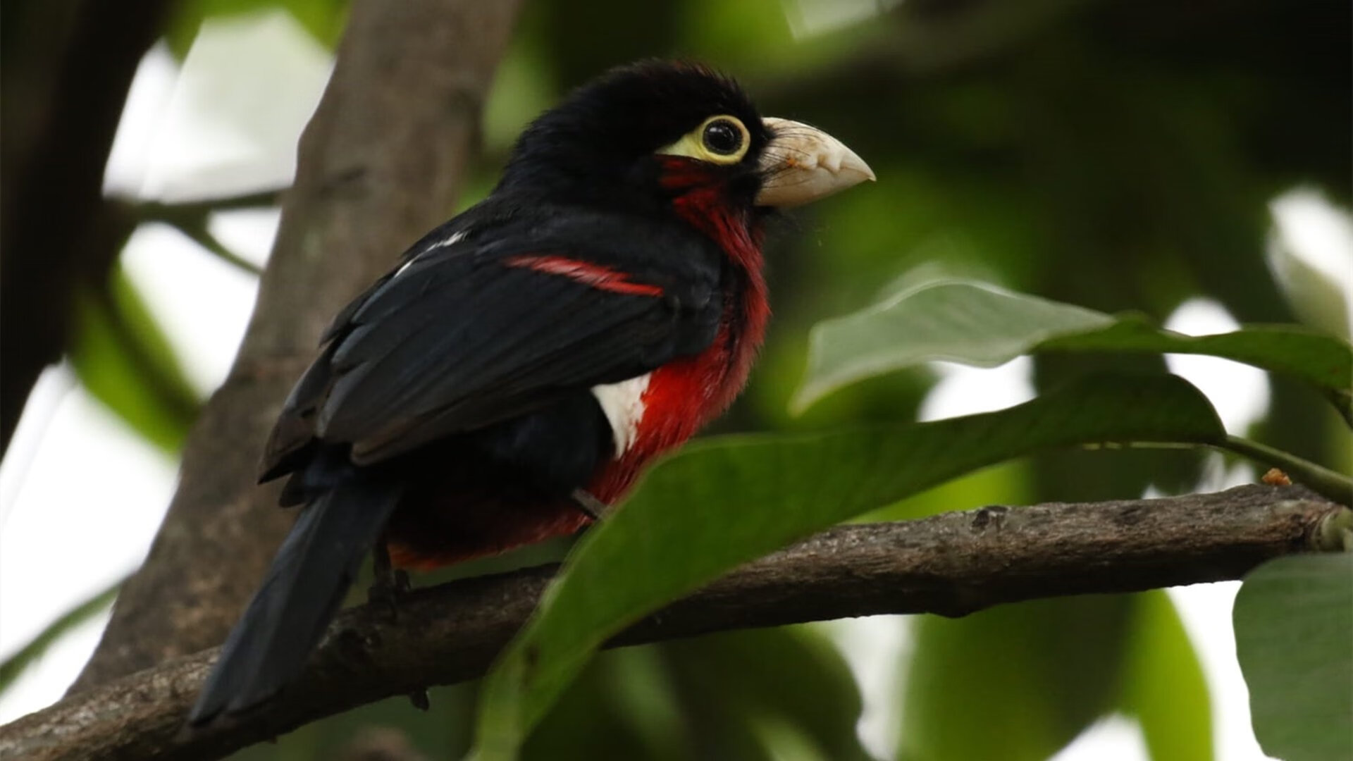 AYX SPORTS-青训科研项目获批国家重点支持，推动足球科技创新持续发展，足球青训体系是什么