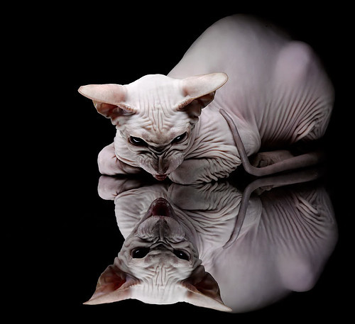 爱游戏体育官方网站-女足世界杯明星球员慈善活动，世界女足先生