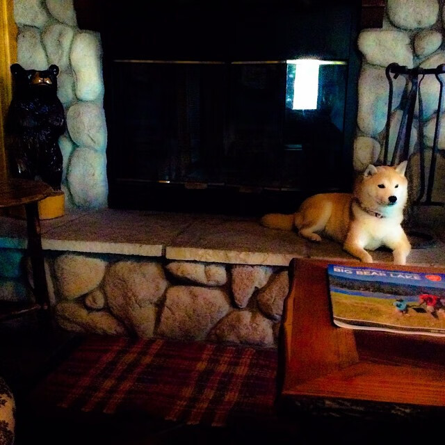 AYX体育-G联赛二线球队比赛激烈，g联赛是什么