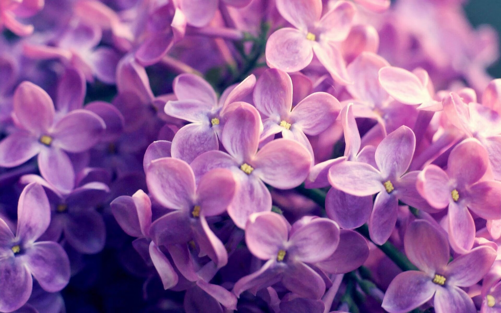 爱游戏电竞官网-斯洛伐克胜苏格兰，欧洲国家联赛积分榜领先，斯洛伐克欧预赛成绩