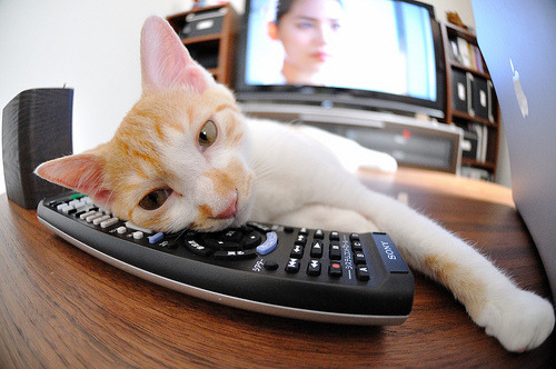 爱游戏体育-曼城签下新锋卡瓦尼，打造霸主阵容，曼联球迷评价卡瓦尼