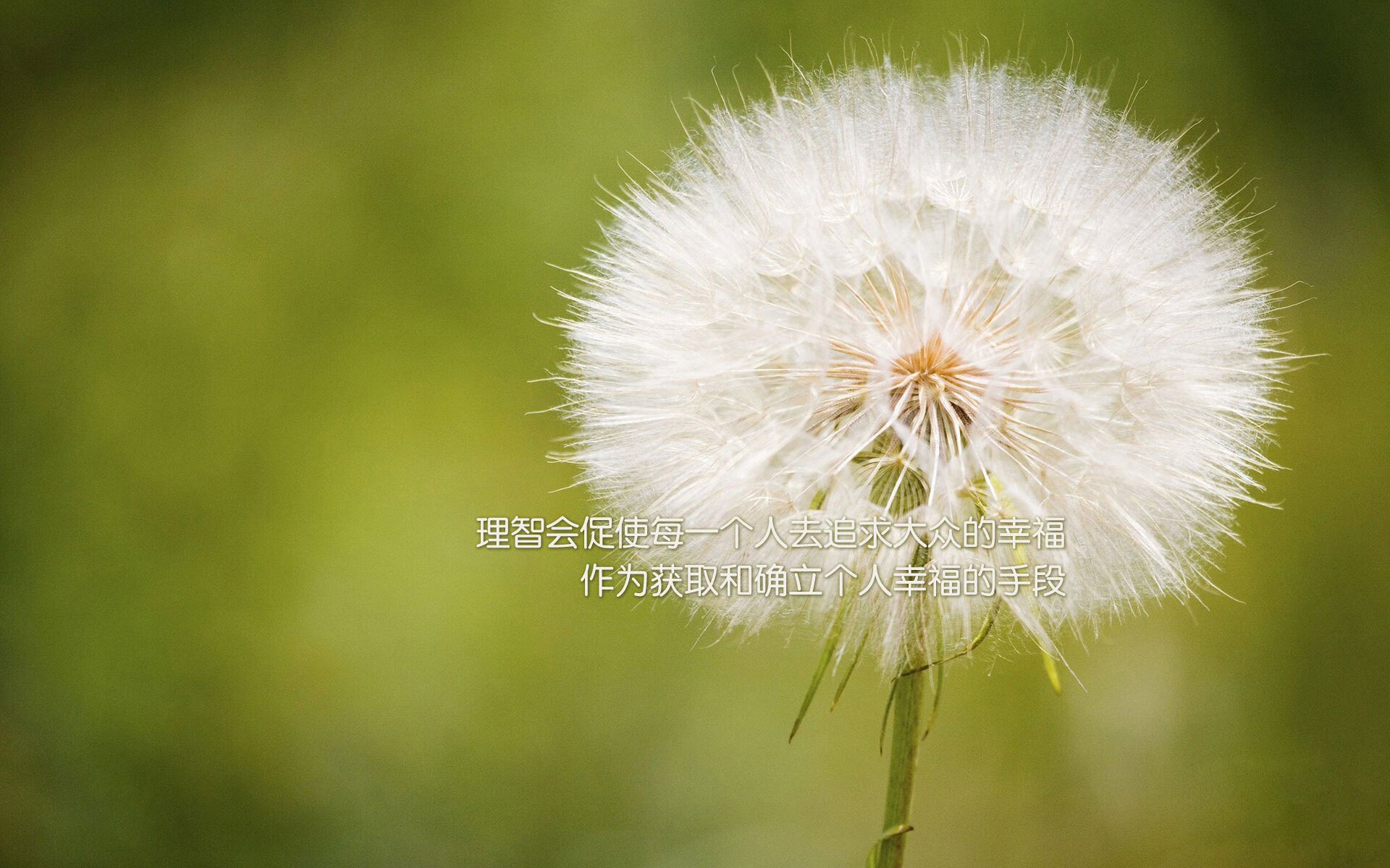 AYX SPORTS-球员们如何备战下一场激烈的比赛？，球员们如何备战下一场激烈的比赛英语