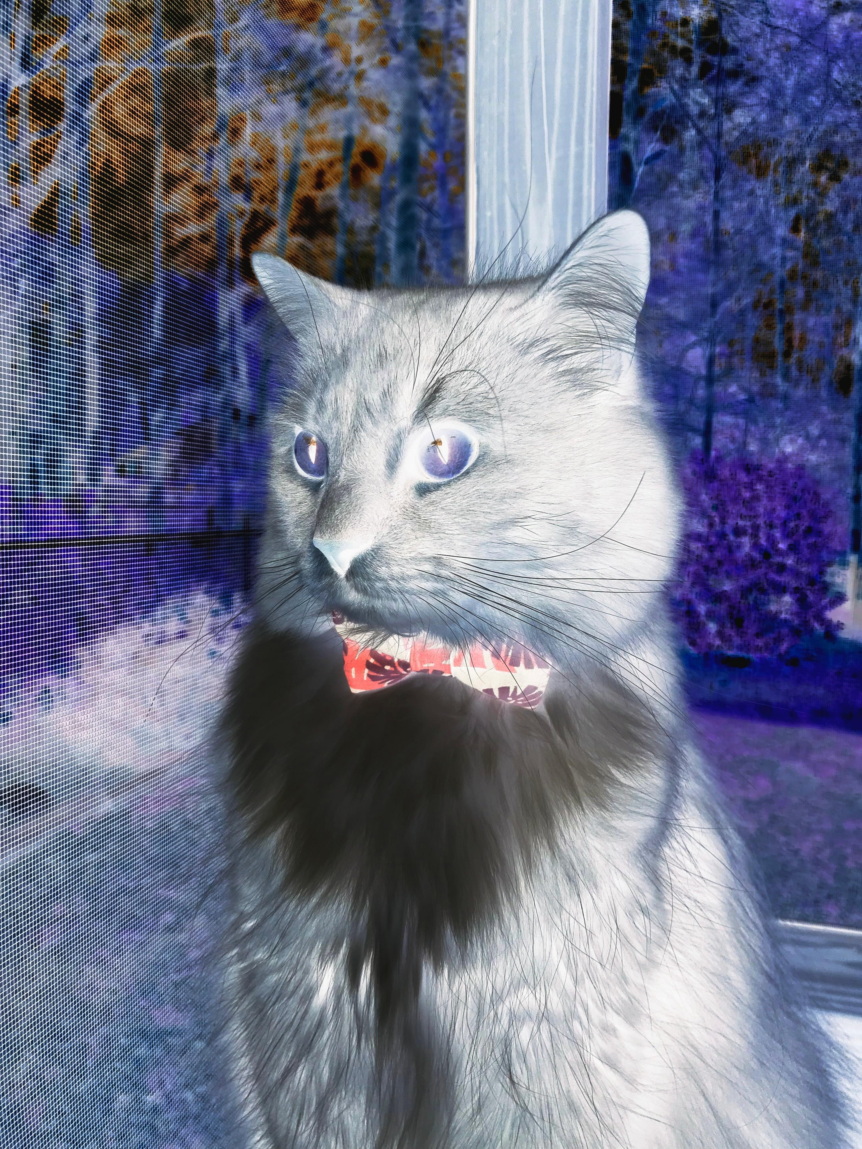 爱游戏在线登录入口-电竞主播与粉丝的情感连接构建方法，游戏主播和粉丝恋爱的结果