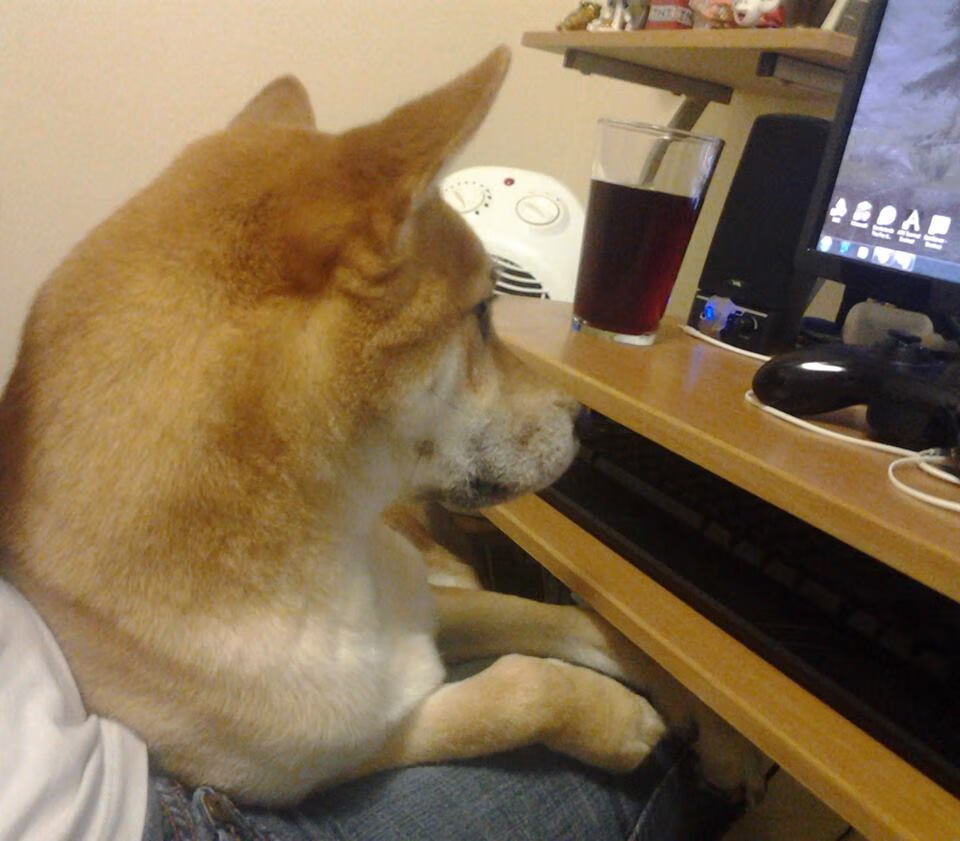 爱游戏中国官方登录入口网站-足球盛宴继续燃烧，球员实力较量悬殊，足球盛宴2021