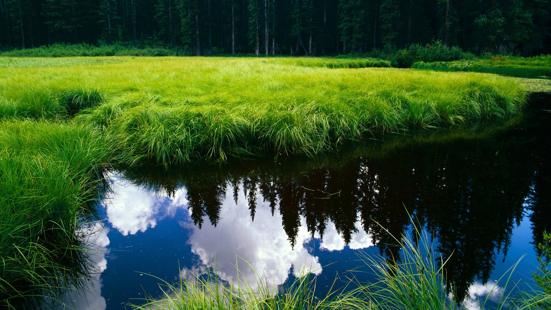 女足世界杯历史突破时刻，女足世界杯历史突破时刻是哪一年