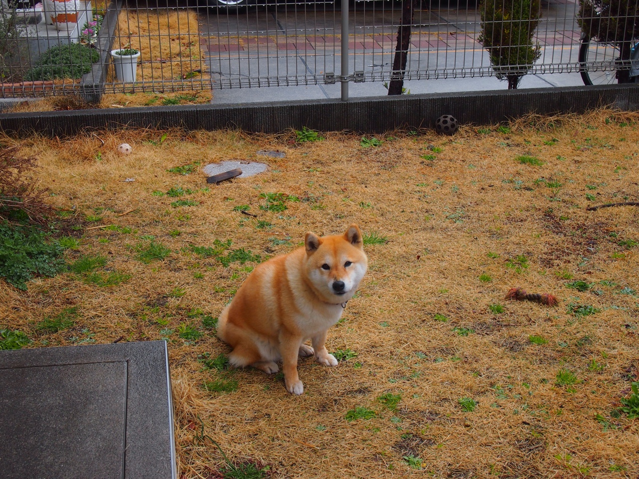 爱游戏下载-“东安湖赛场跑酷：惊险跃升，挑战极限障碍”