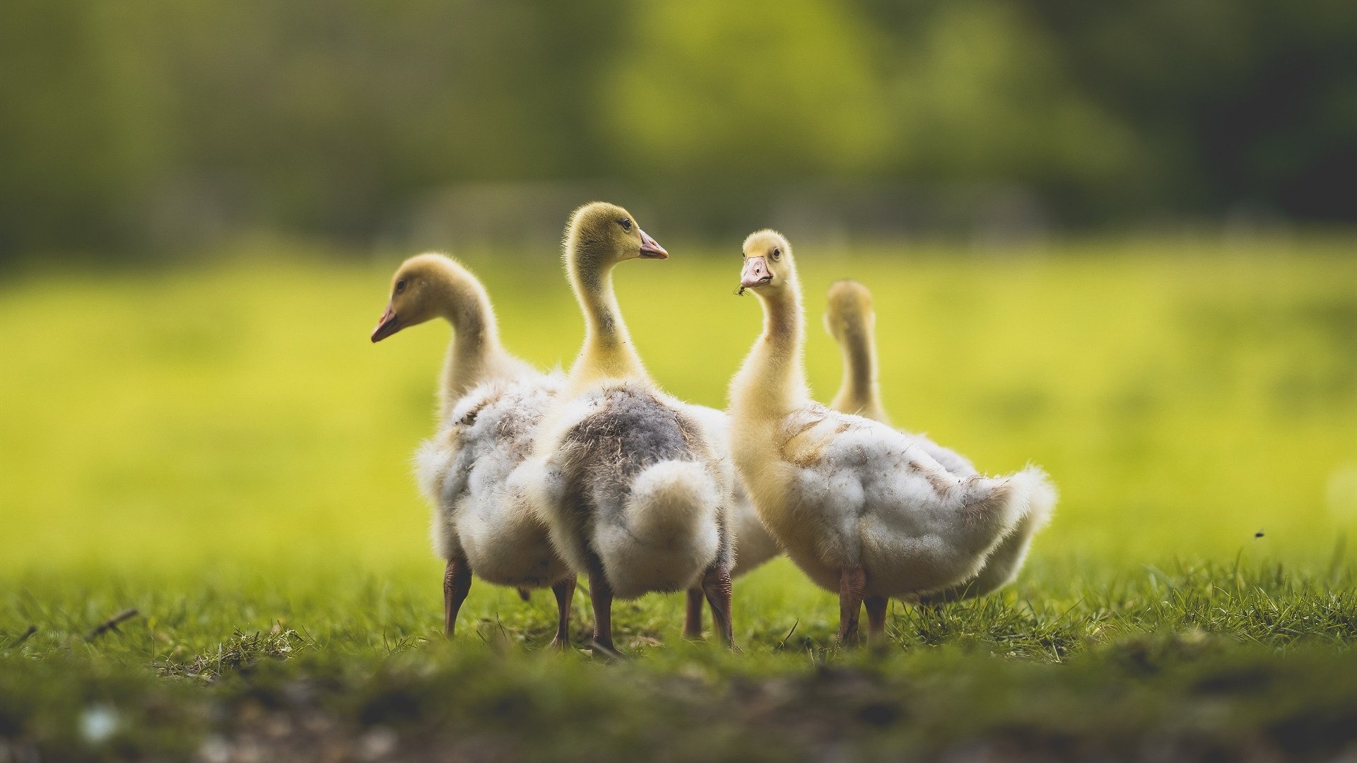 “东安湖赛场跑酷:惊险跃升,挑战极限障碍”