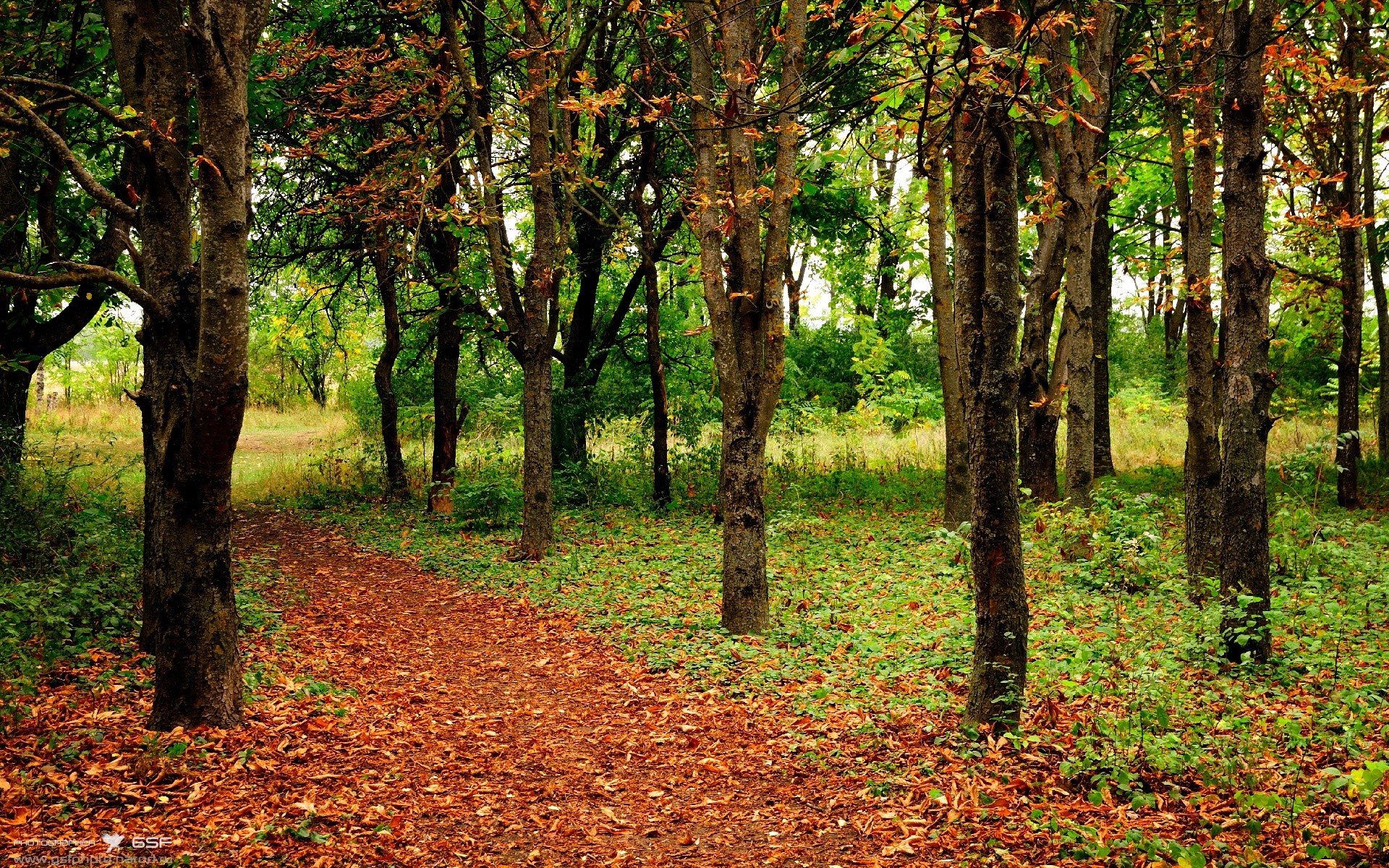 爱游戏体育（AYX）官方APP下载-拉科鲁尼亚与巴拉多利德平分秋色，拉科鲁尼亚的球星