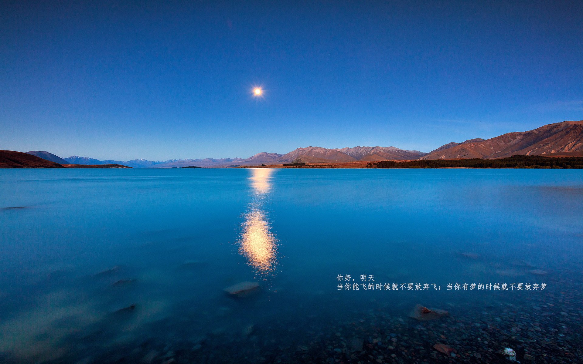 世俱杯冷门不断:黑马球队如何逆袭强劲豪门?,什么是世俱杯