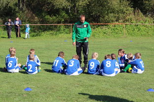 AYX官网-中国篮球教练员战术创新能力培养及培训机制探讨，篮球教练员素养