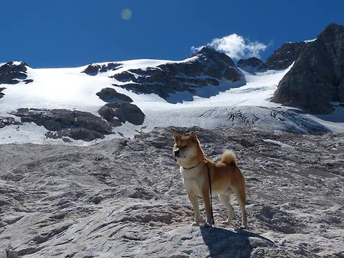 AIYOUXI.COM-中超主力替补替换比例对比赛走势影响，中超谁替补江苏