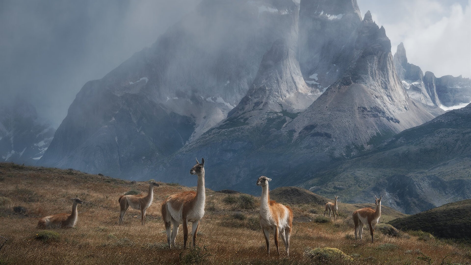 爱游戏体育APP下载-丁俊晖入选世界台联技术顾问团，丁俊晖台湾