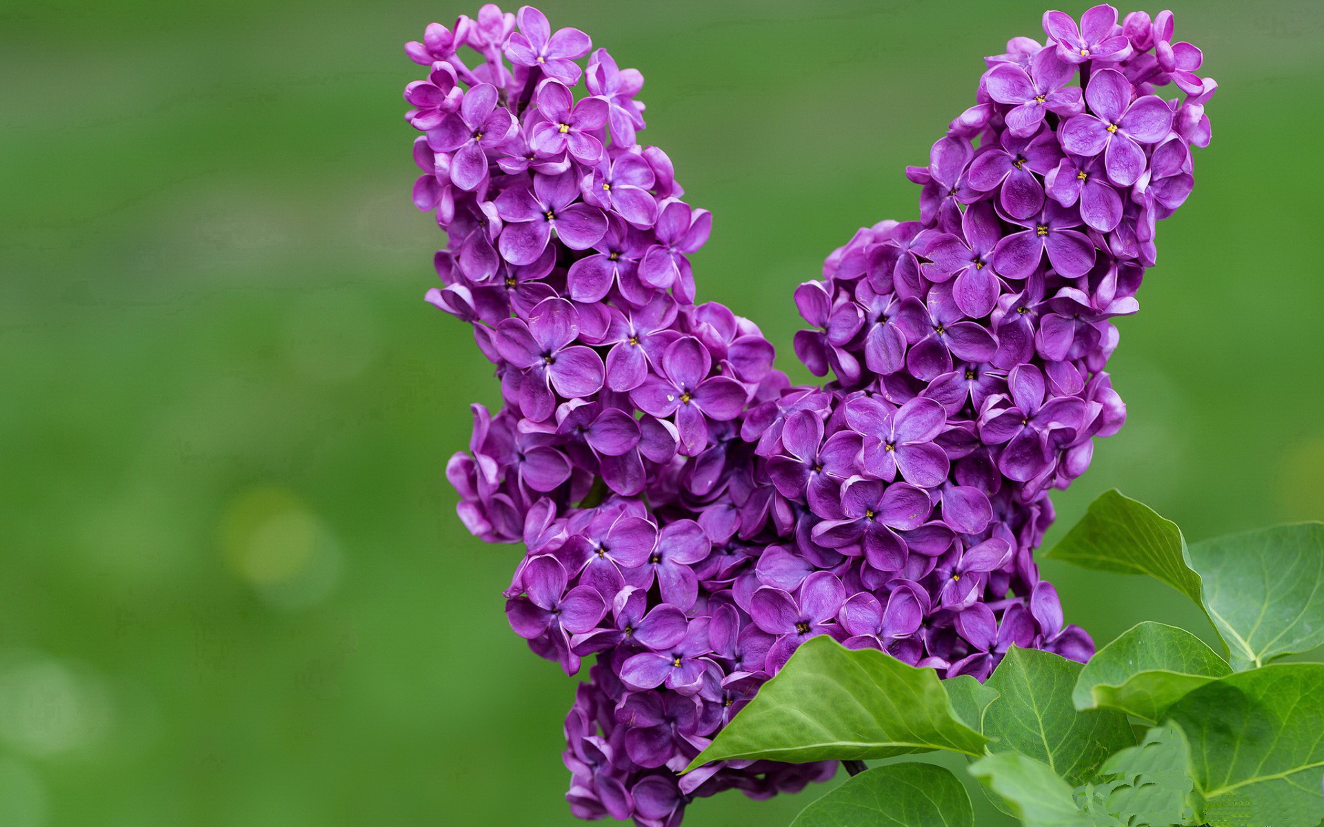 国足体能消耗与恢复周期分析,国足体力