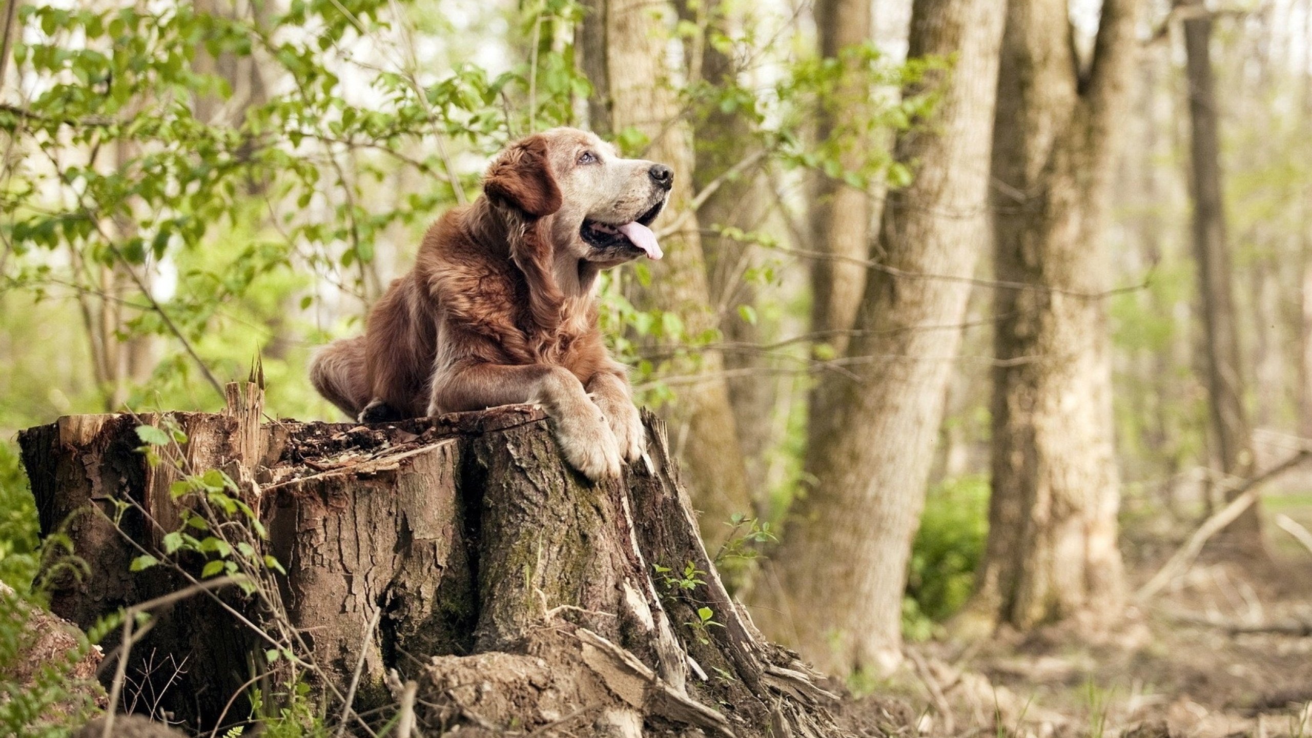 中超青训营举办家长开放日展示球员日常训练情况,中超青年球员新闻微博