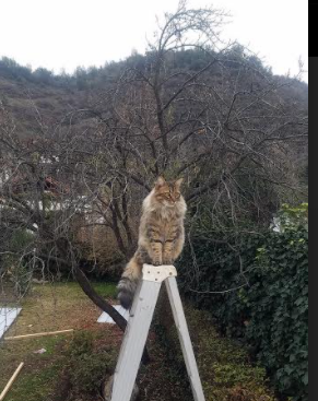 爱游戏-凯蒂·莱德基稳健掌控比赛节奏，凯蒂芬得莱