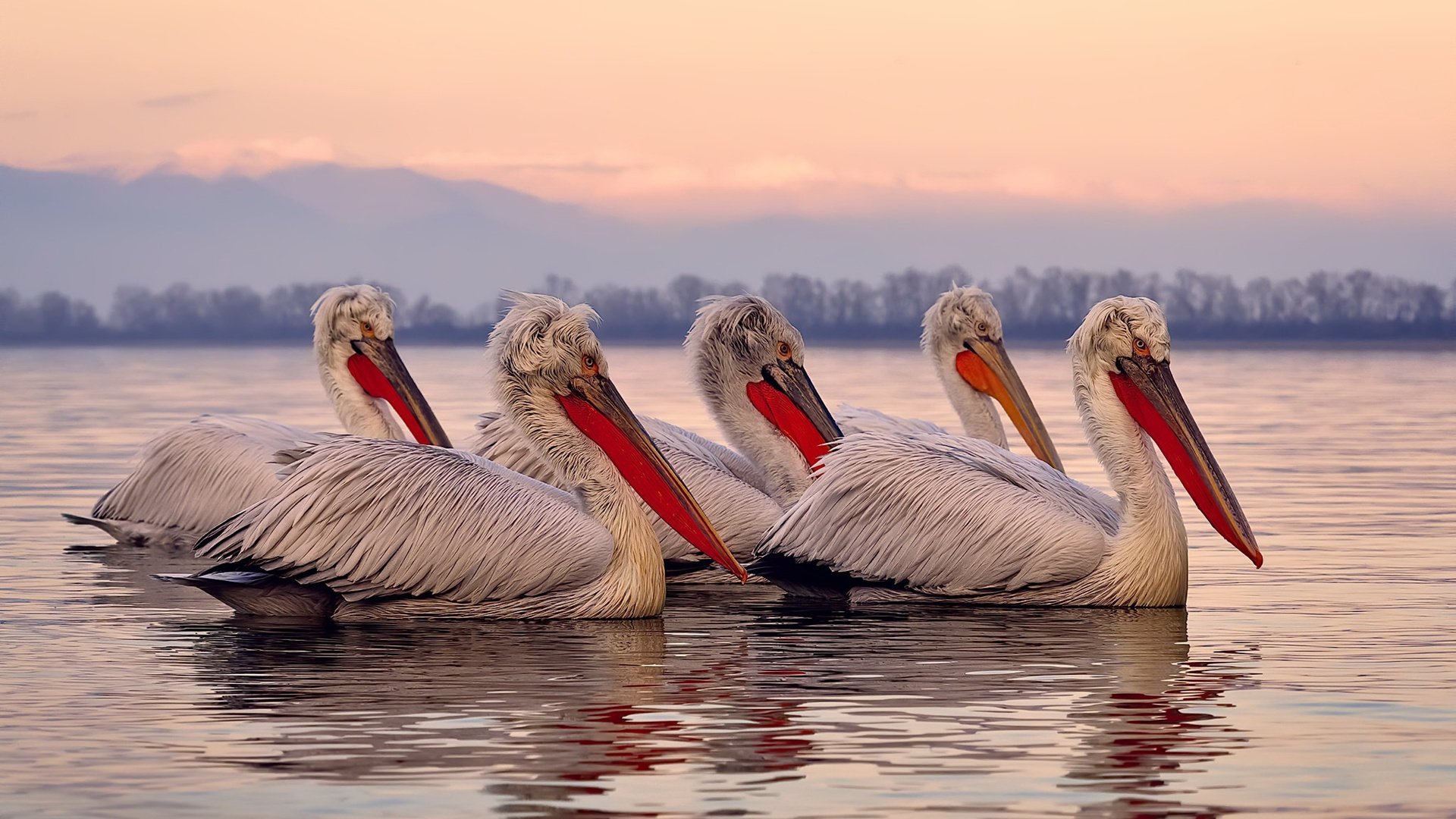 国际足联加强对裁判培训,提升执法一致性与专业性,2021足球裁判员培训报名