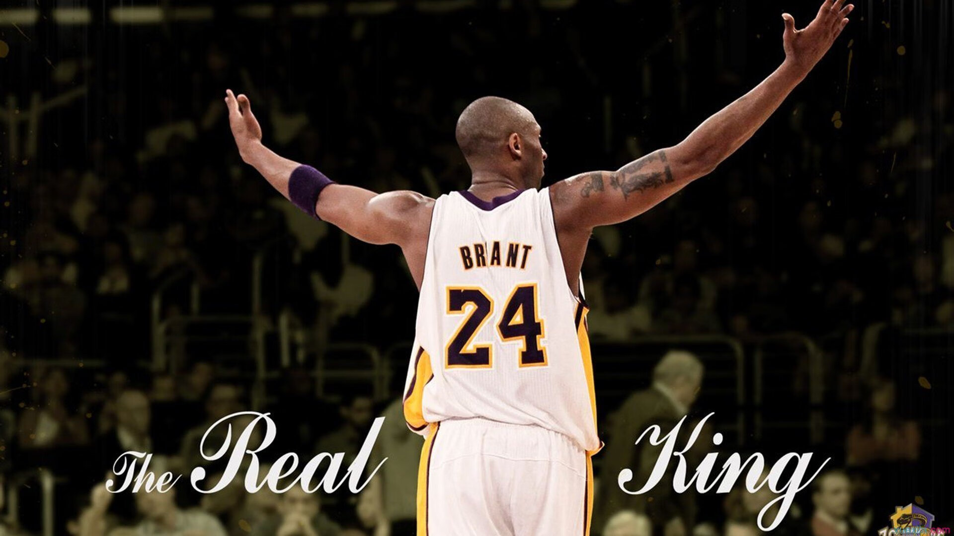 爱游戏体育官方网站-场馆升级改造完成新引入灯光与音响系统提升赛事氛围，场馆建设