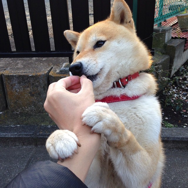 “2025世界运动会:高新体育中心的篮球赛成焦点赛事”