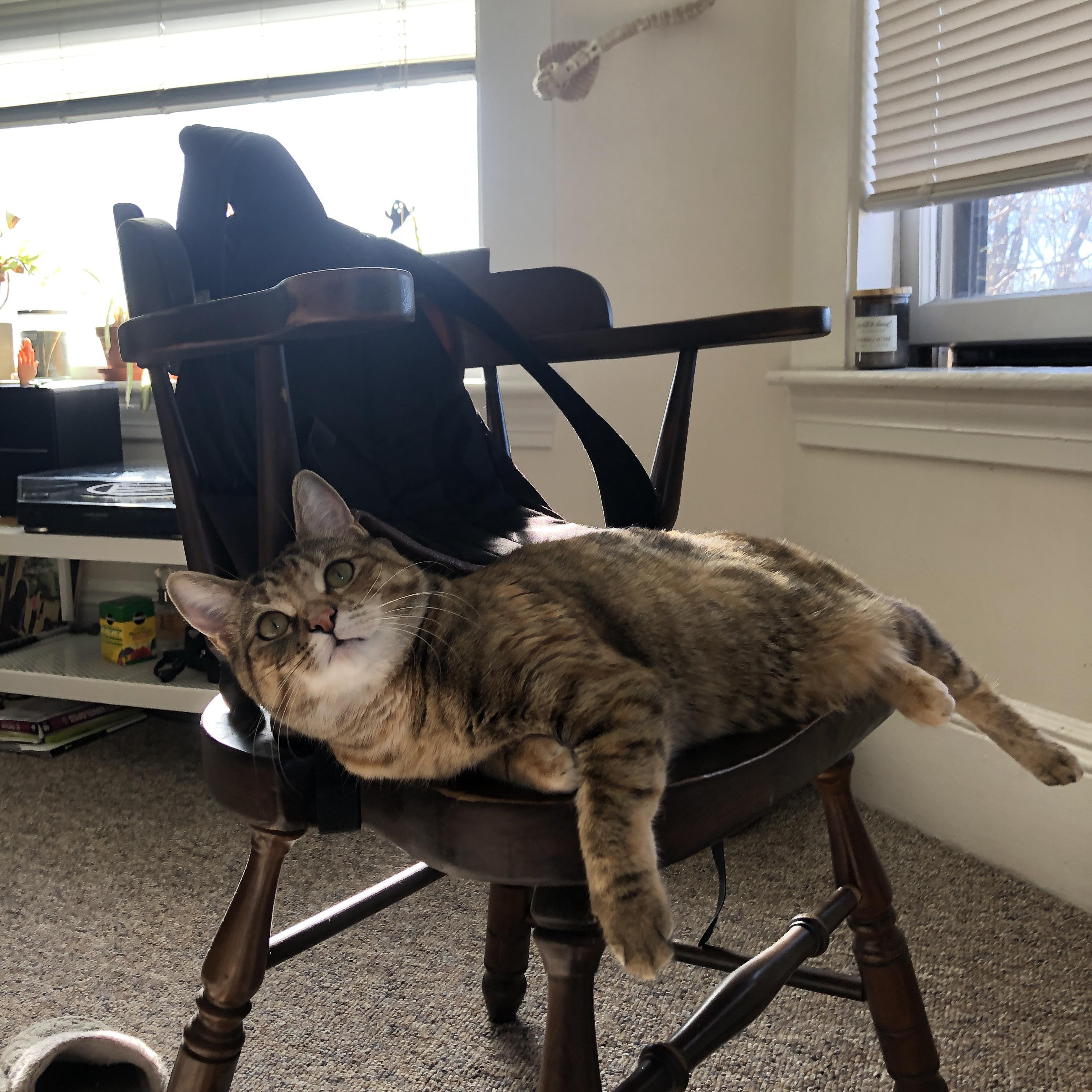 五大联赛历史传控比对比看战术演进轨迹,五大联赛历史出场纪录