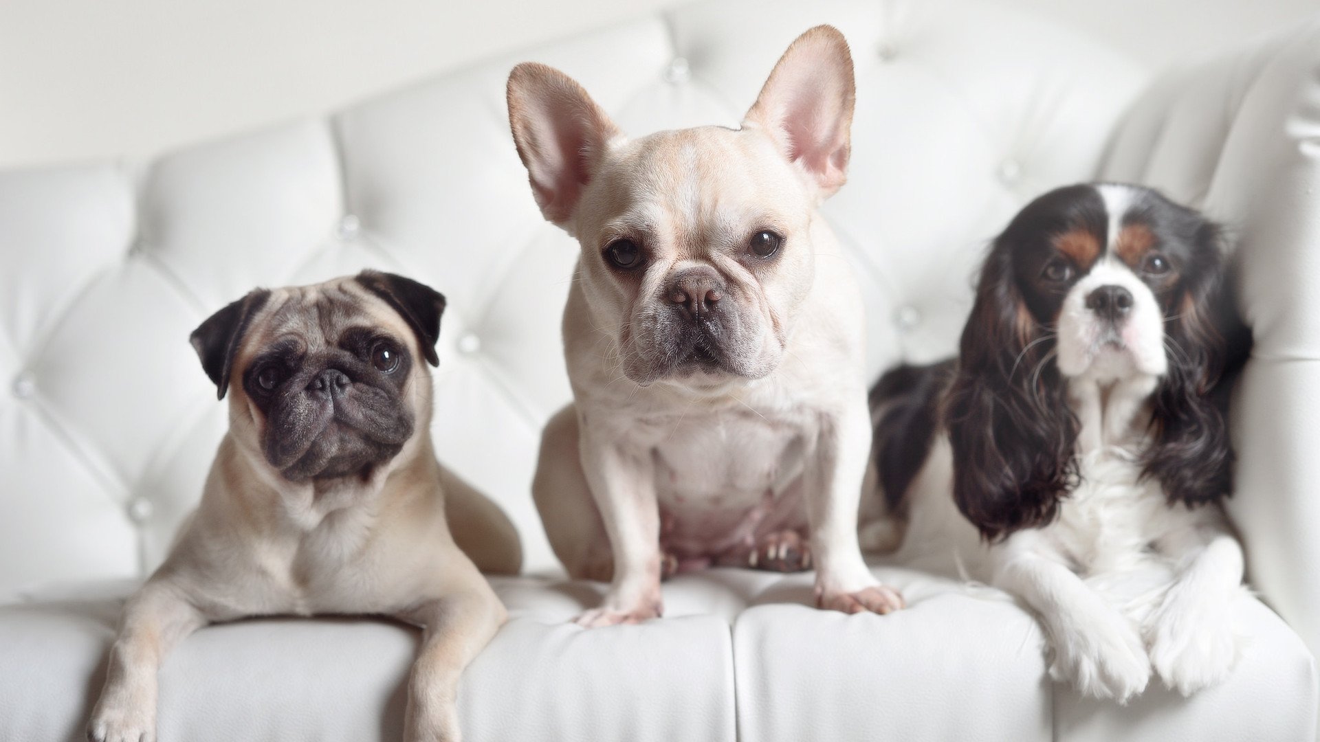 国家队心理素质训练资源短缺,国家队心理辅导